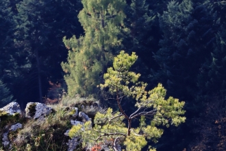 wystawa Ojców